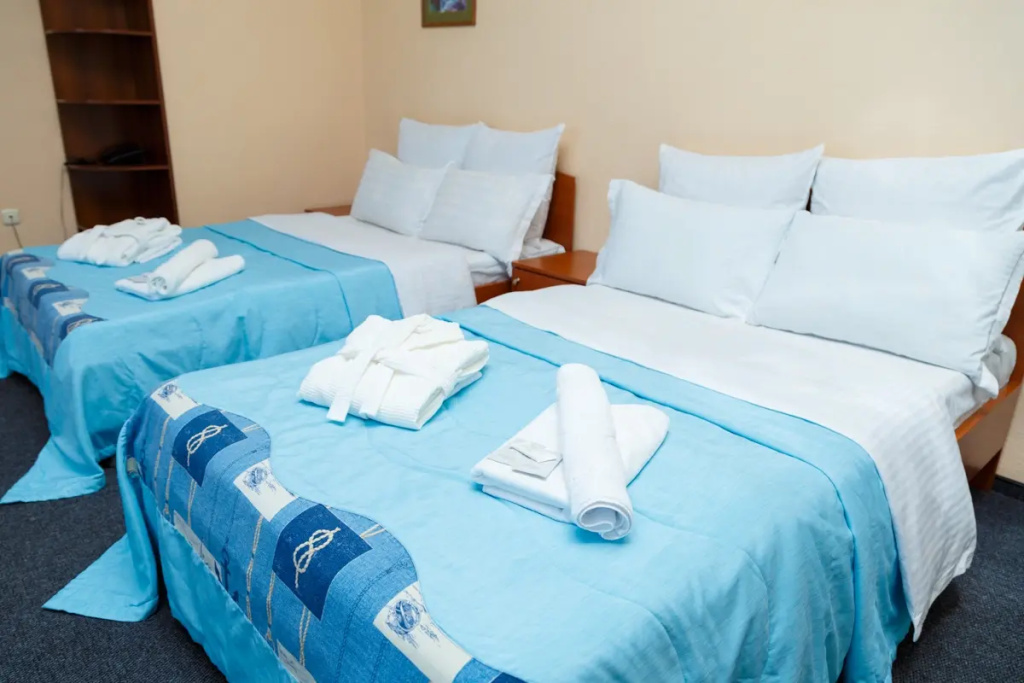 Alioth Hotel Room Type - Standard Double room with city view twin beds