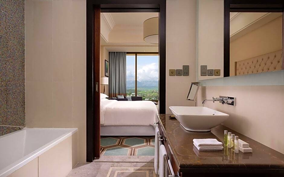 Двухместный номер Standard с красивым видом из окна 2 отдельные кровати в Отель Hilton Dushanbe