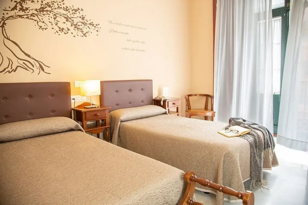 Standard Double room (twin beds)