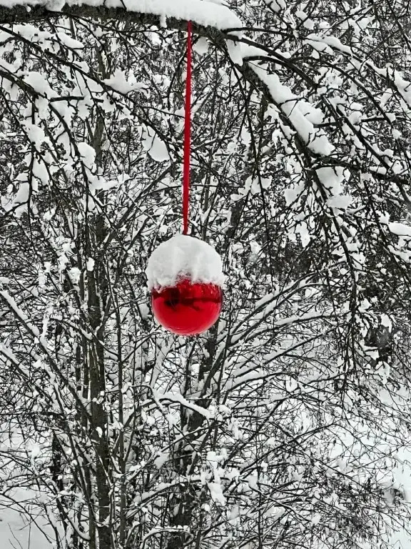 Частный дом Веселые гуси 1 - фото 5