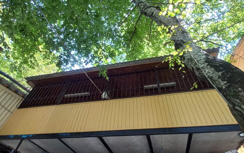 Economy Triple room with balcony and with view