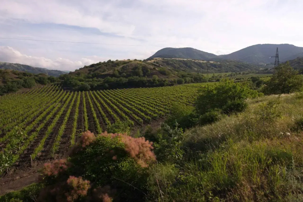 Гостевой Дом Ускут - фото 9