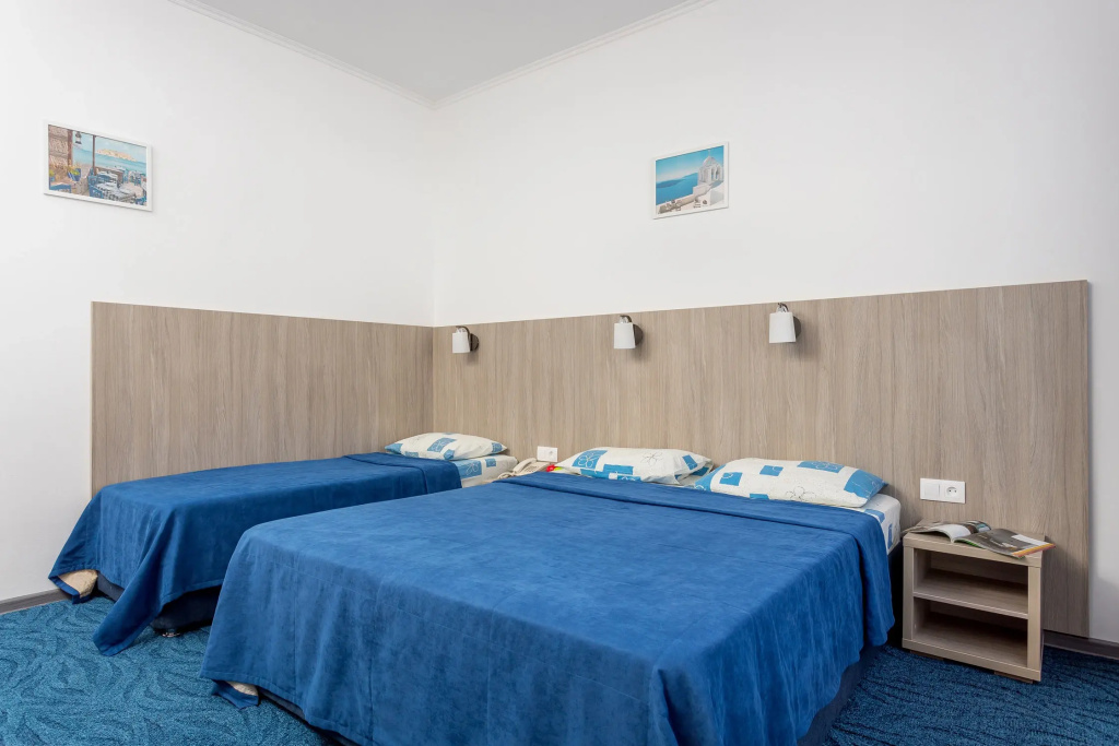 Standard Double Family room with balcony and with courtyard view (twin beds)