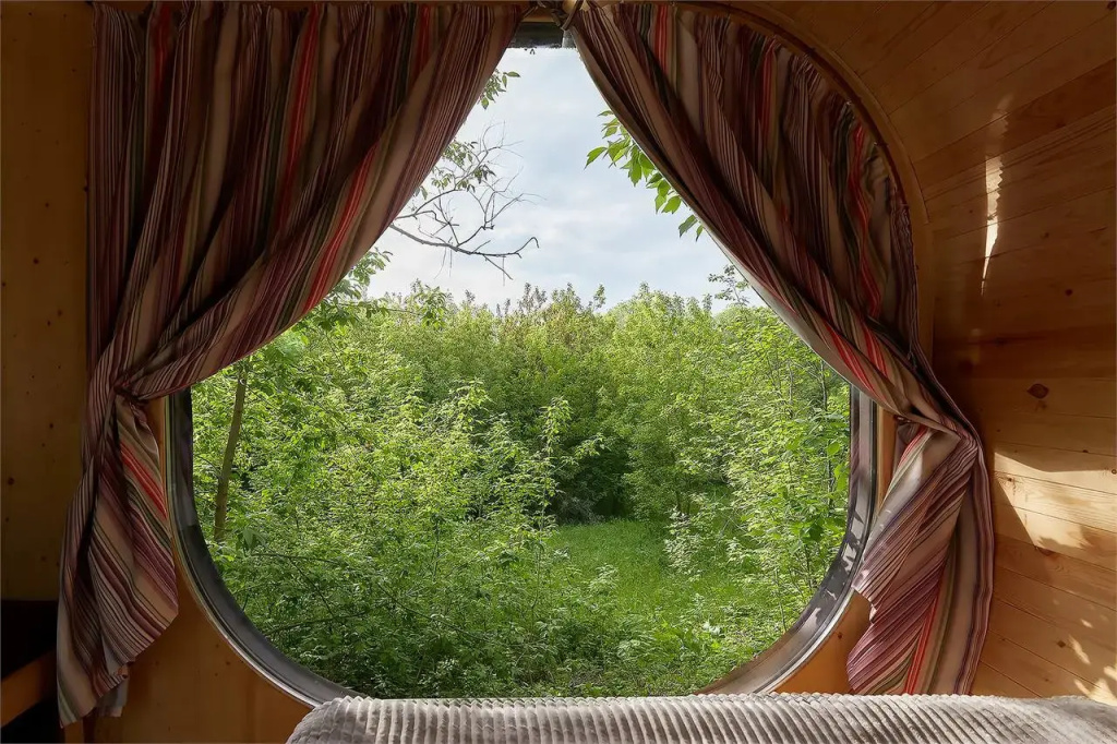 On the tree House with view