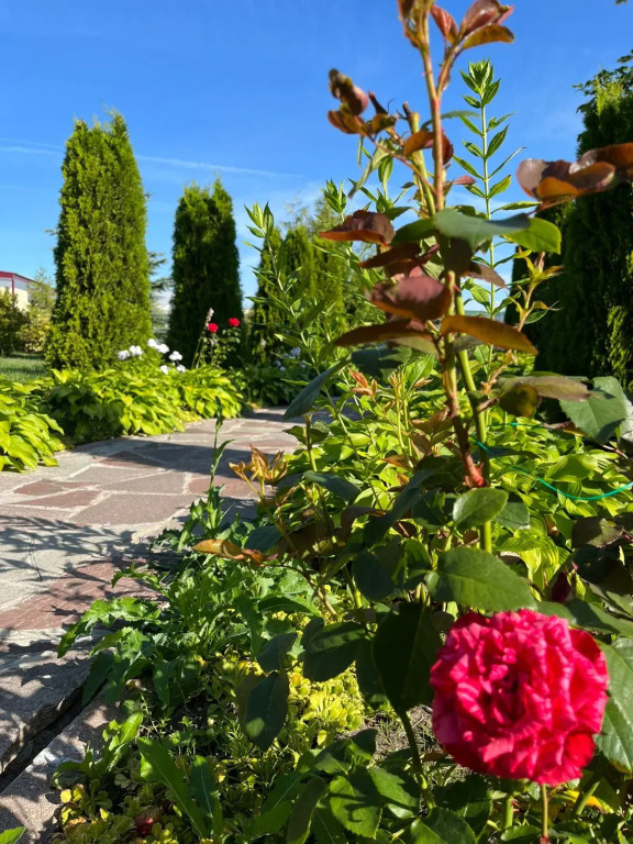 Отель Ярославское Подворье - фото 45