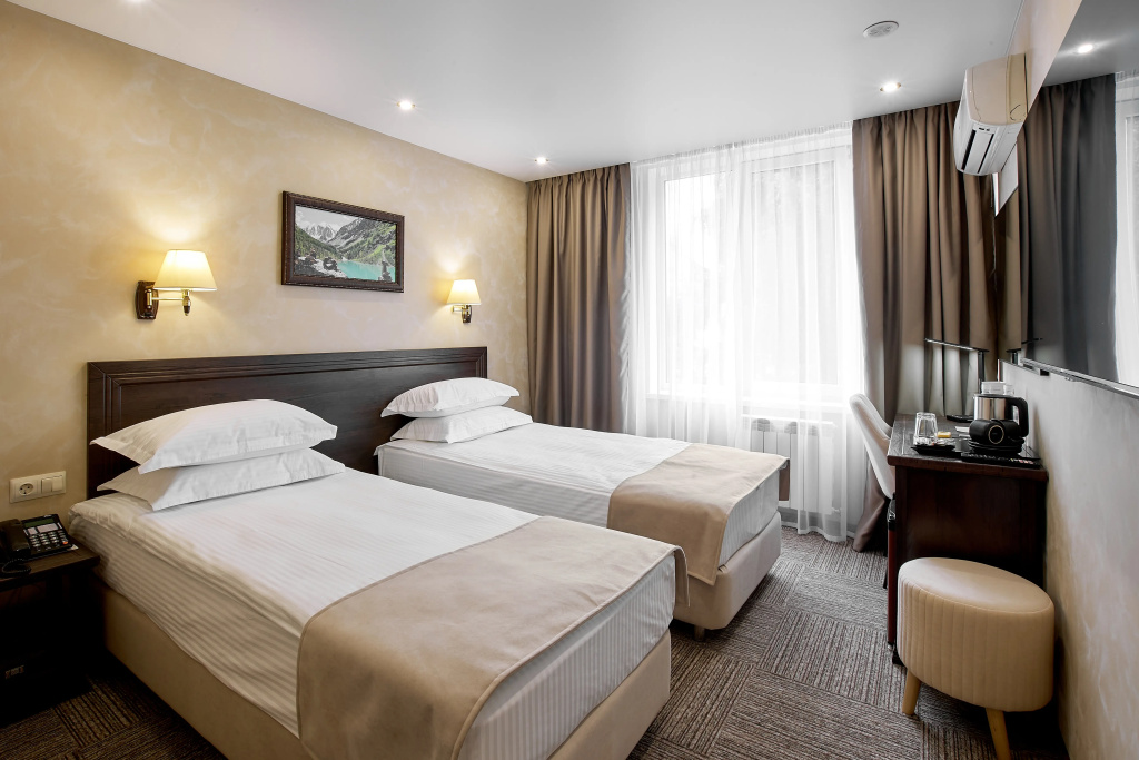 Hotel Barnaul Room Type - Standard Double room with city view twin beds