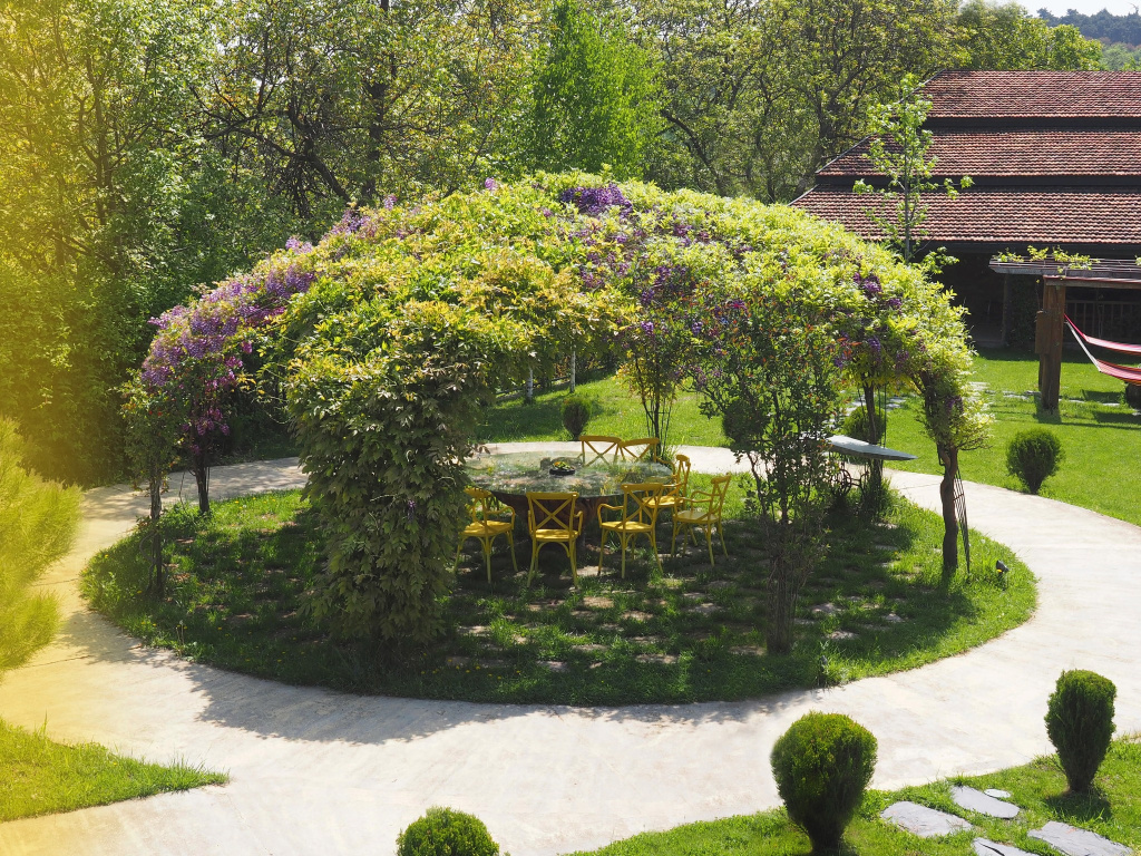 Ampelo Hotel Kardenakhi, Кахетія, Грузія мініатюра 23