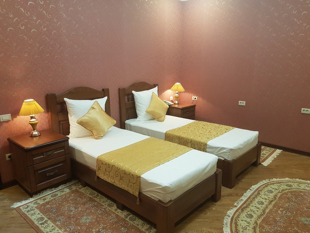 Standard Double room with city view (twin beds)