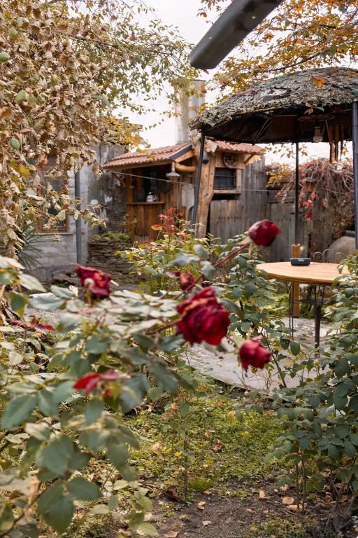 Alashkert Guest house