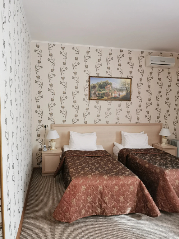Double Junior Suite (full double bed)