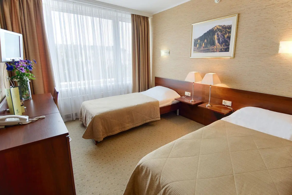 Standard Classic Double room (twin beds)