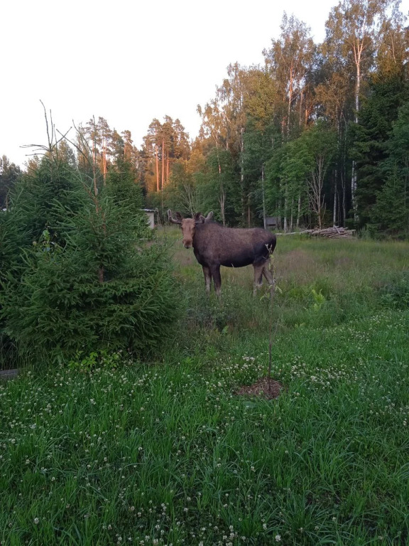 Четырёхместный коттедж с 2 комнатами в Экара