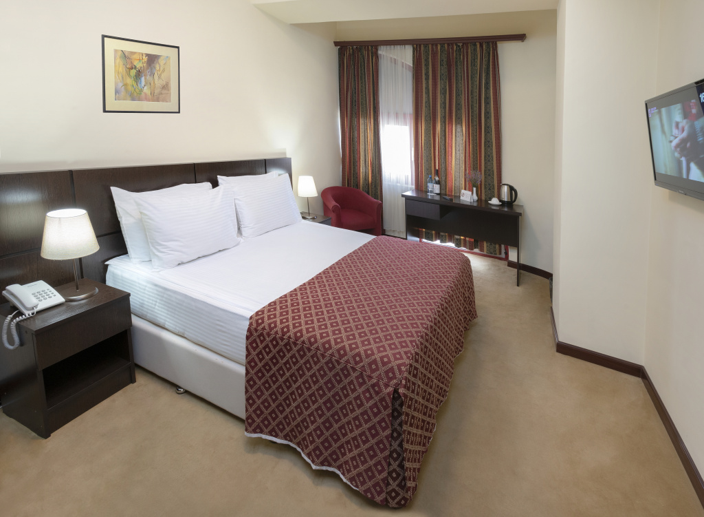 Ani Central Inn Hotel - Chambres