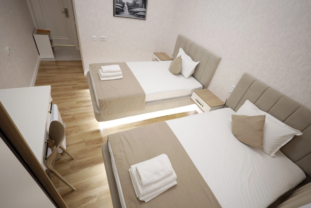 Standard Double room (twin beds)