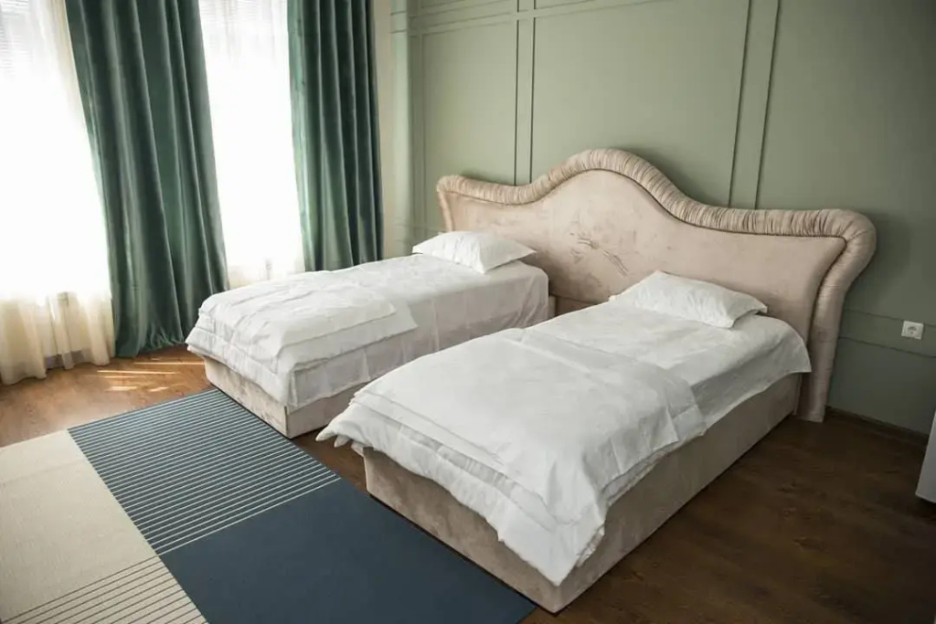 Double Junior Suite with city view (twin beds)