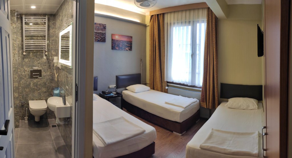 Standard Triple room with city view
