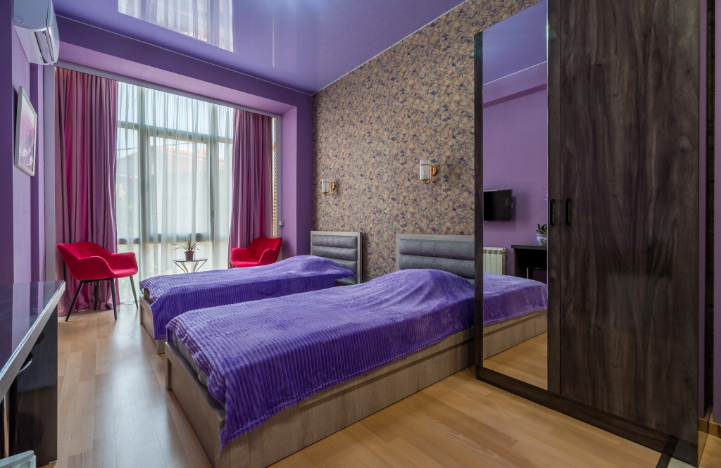 Standard Double room with city view (twin beds)