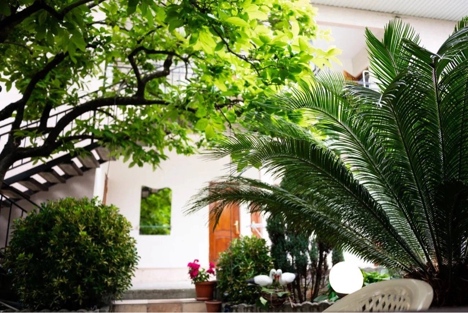 Guest house Elana