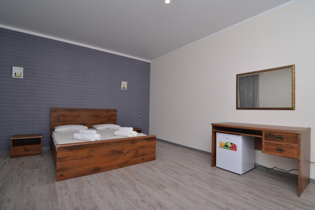 Standard Double room with view (full double bed)