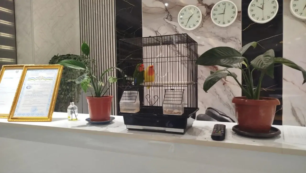 Hotel photo 4