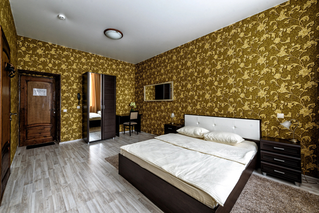 Aziya Mini-hotel Room Type - Double Studio full double bed