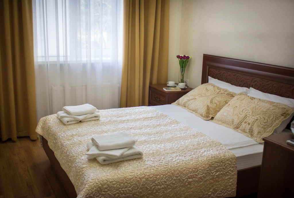 Standard Double room (full double bed)