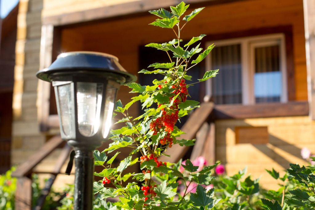 Отель Даурия - фото 15