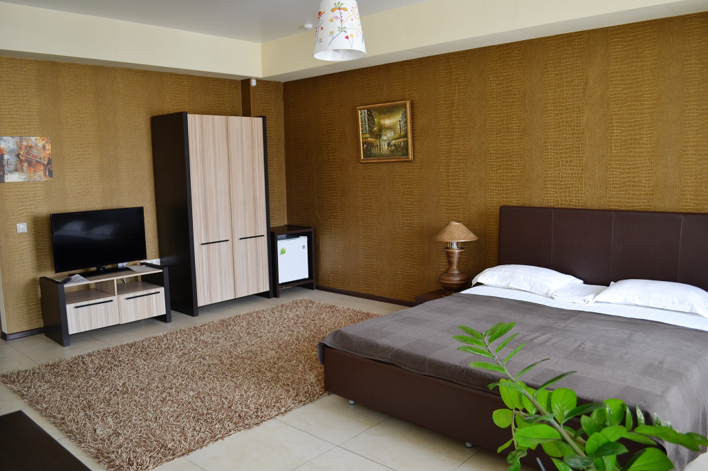 Double Junior Suite (full double bed)
