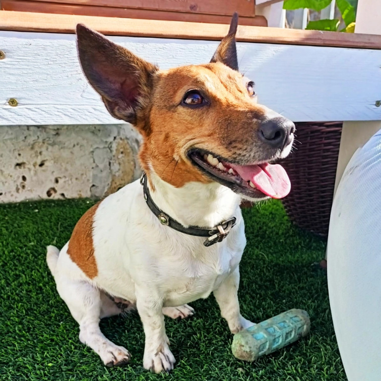 Частный Дом на Вишневом Переулке 19 - фото 34