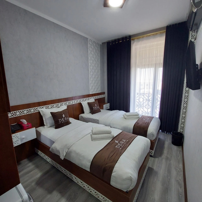 Standard Double room with city view (twin beds)