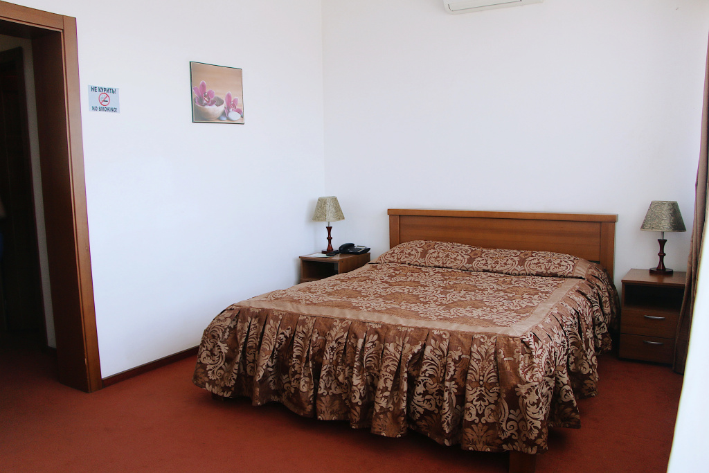 Standard Double room with view (full double bed)