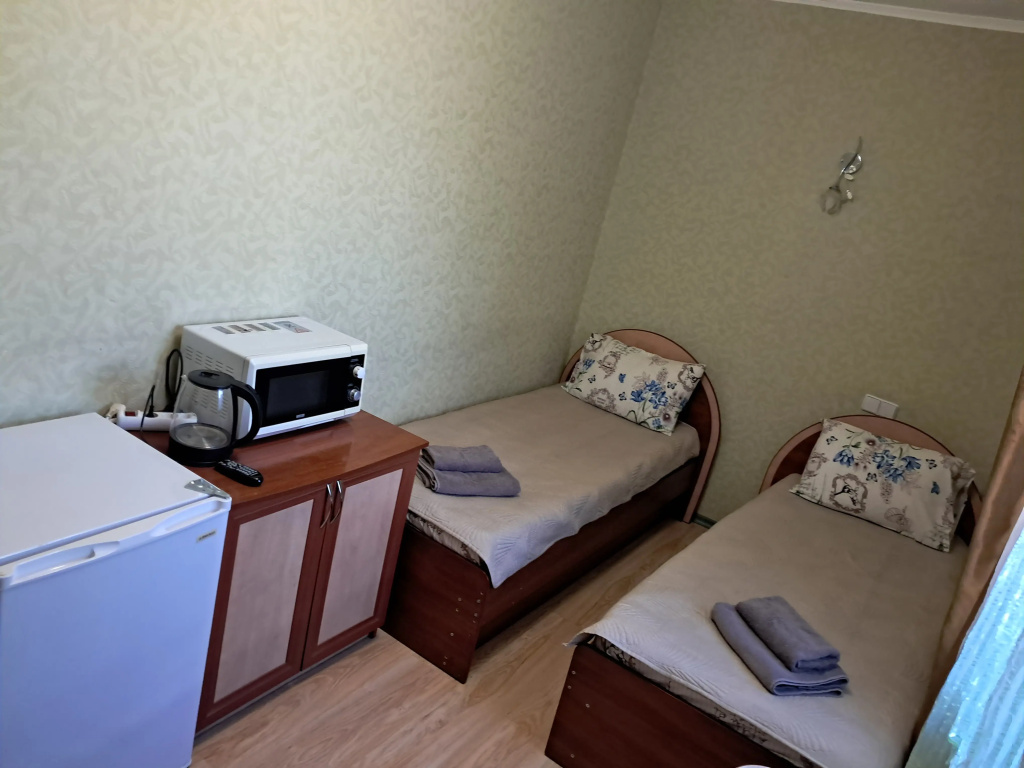 Standard Double room (twin beds)