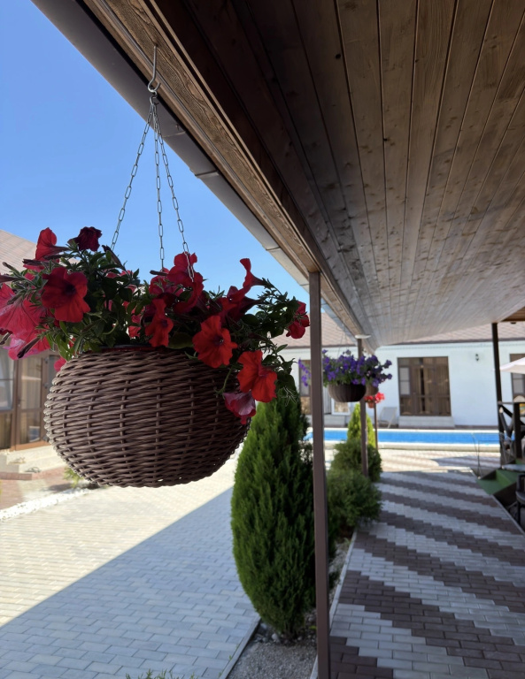Luna Mini hotel