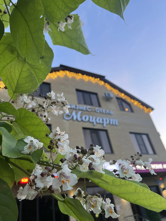 Отель Моцарт - фото 14