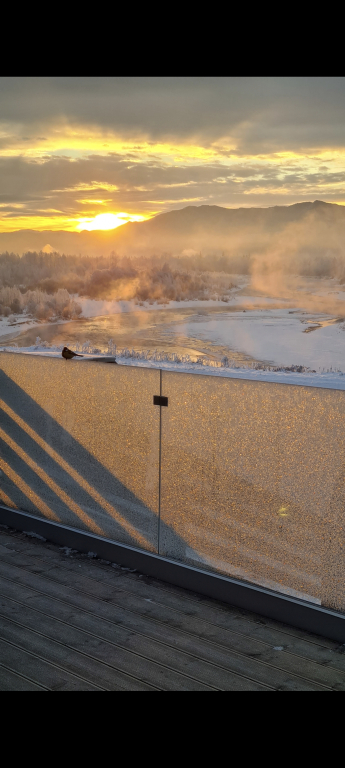 Частный дом Современный гостевой дом на слиянии рек Катунь и Кокса - фото 35