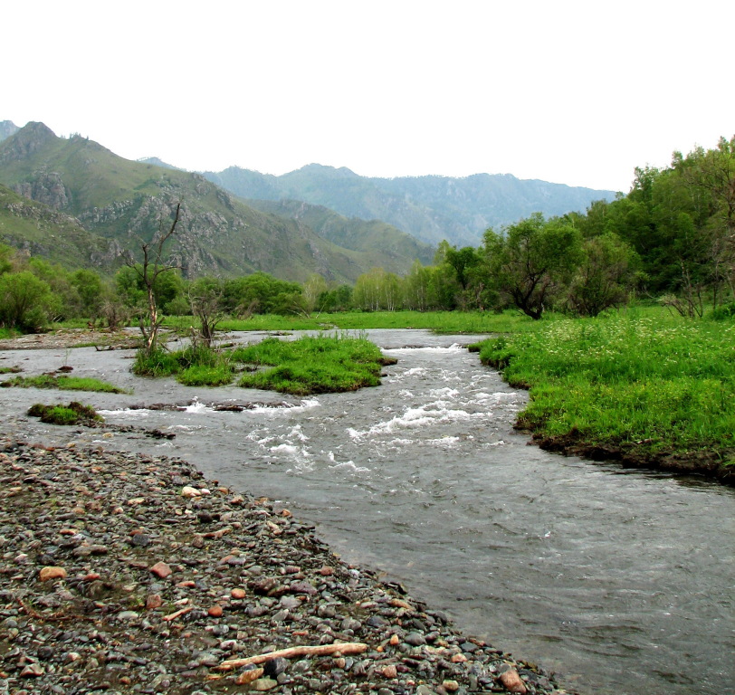 Село Эдиган Чемальского района