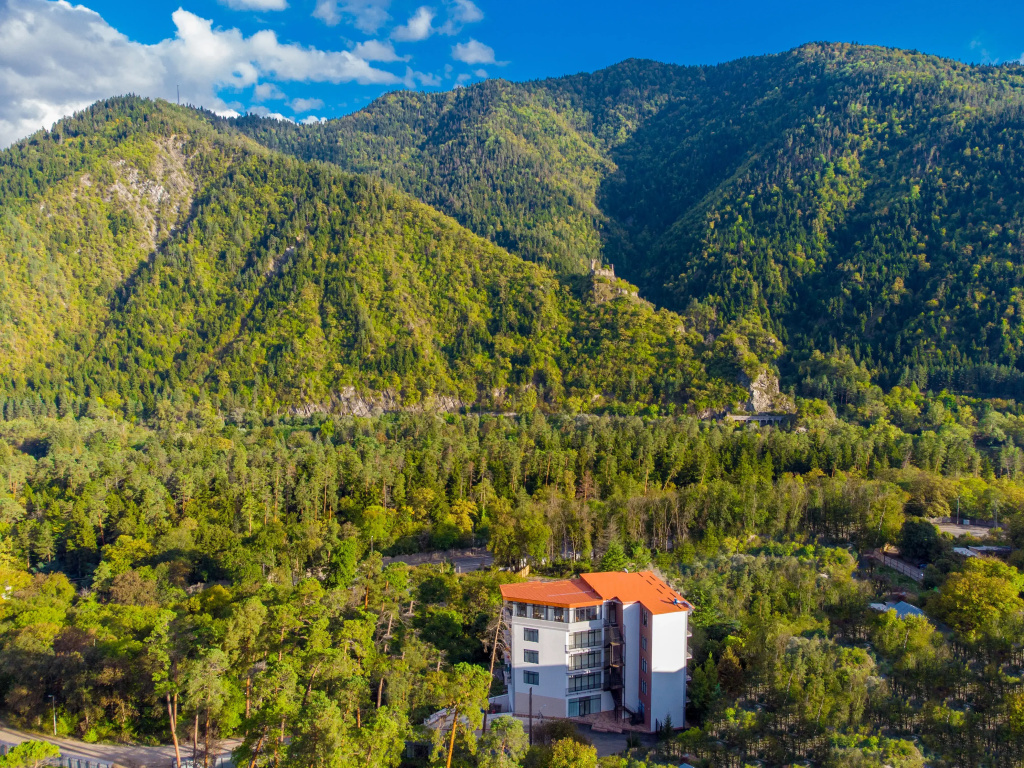 Отель & restaurant Emerald Borjomi - фото 3