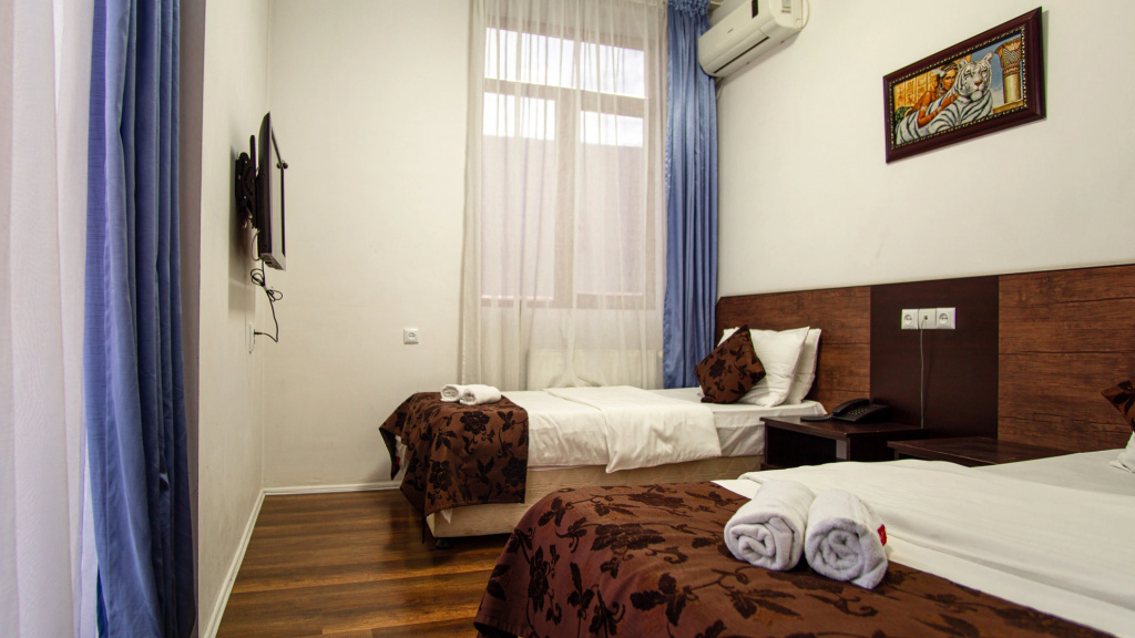Economy Double room (twin beds)