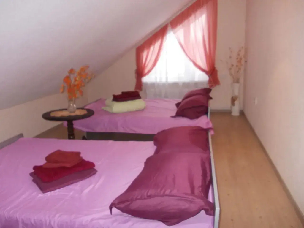 Частный дом на Леселидзе 61 (1) - фото 3