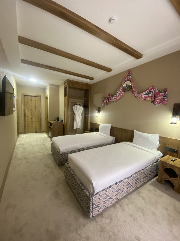 Standard Double room with balcony and with view (twin beds)