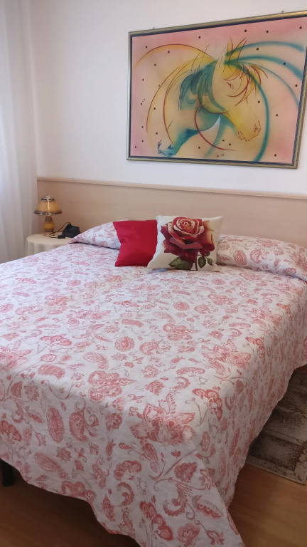 Standard Double room with view (full double bed)