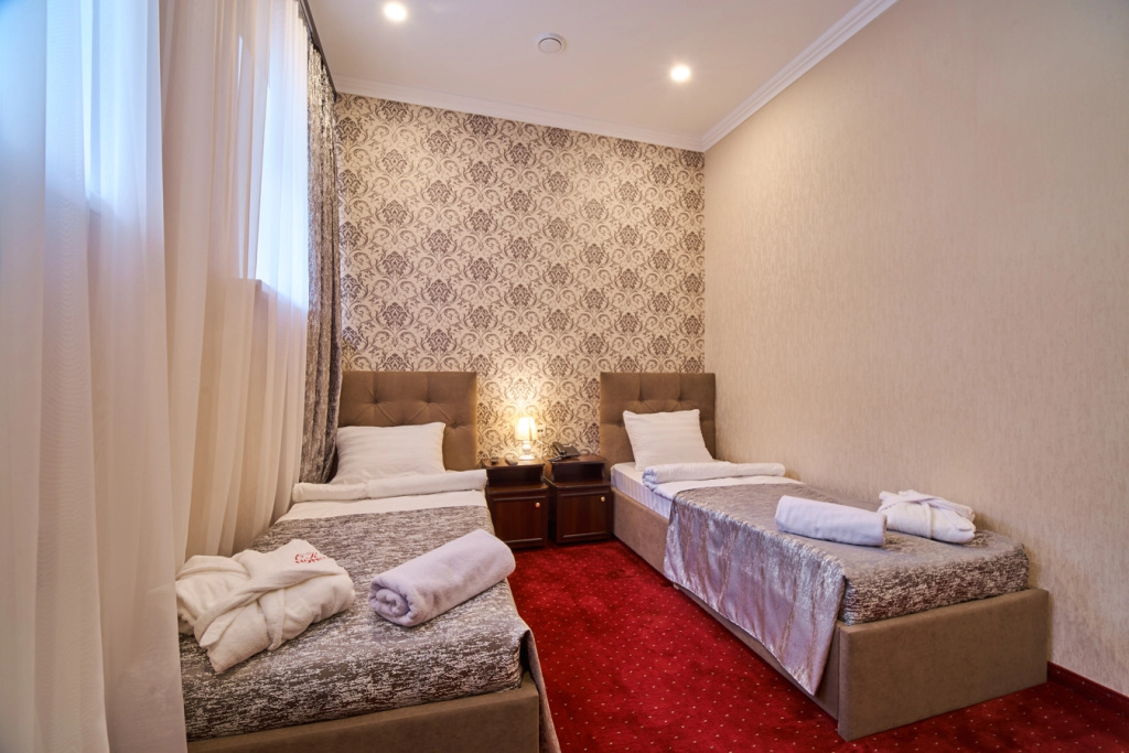 Standard Double room (twin beds)