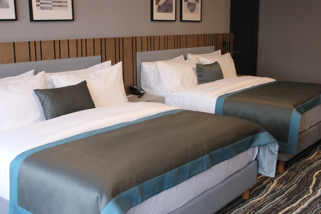 Vladikavkaz Park Hotel Room Type - Superior Double room with view twin beds