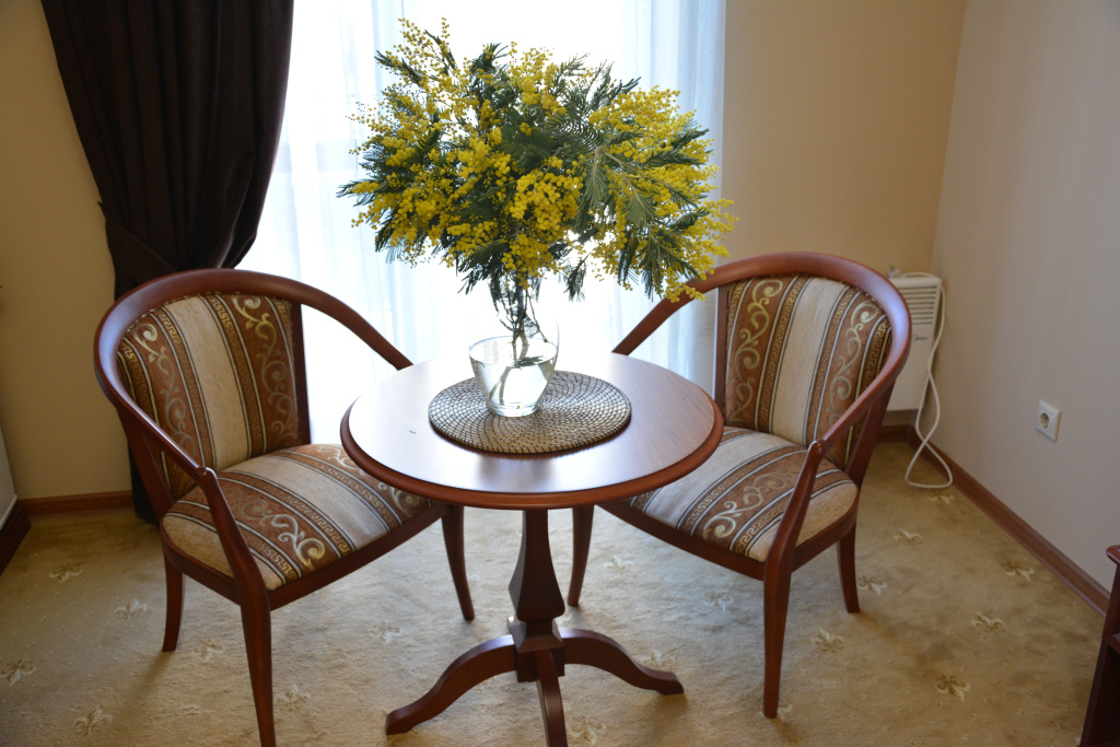 Dioscuria Hotel - Chambres