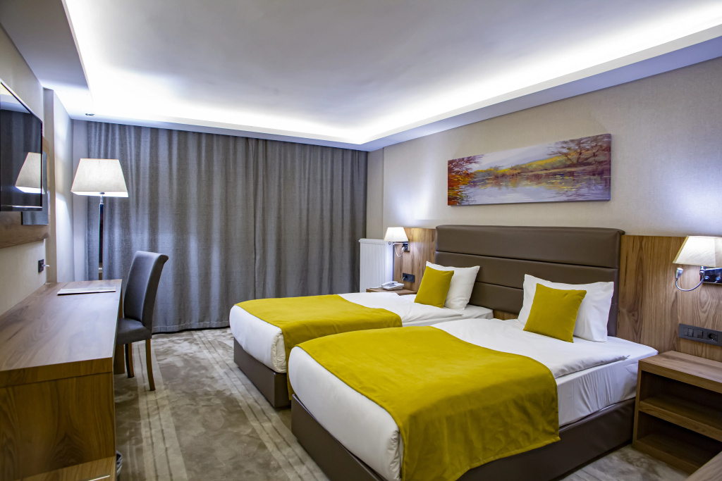 Standard Double room (full double bed)