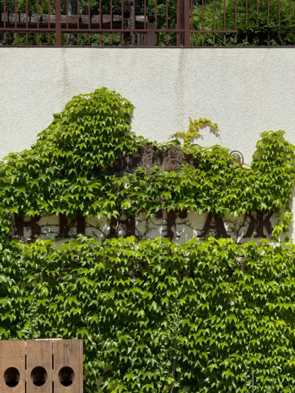 Отель Винтаж - фото 7