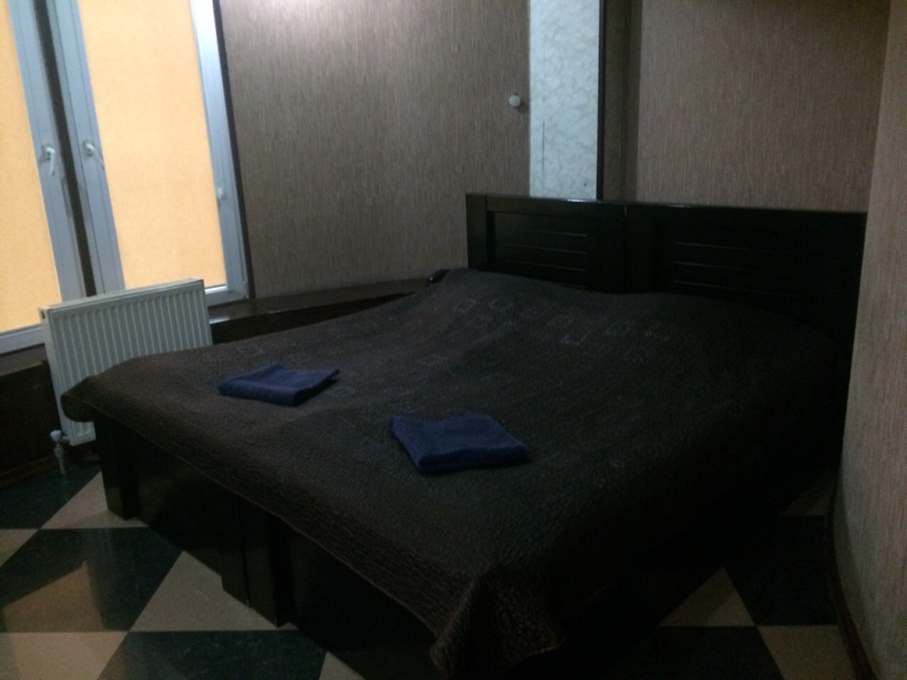 Двухместный номер Standard с красивым видом из окна 2 отдельные кровати в Отель Пиза