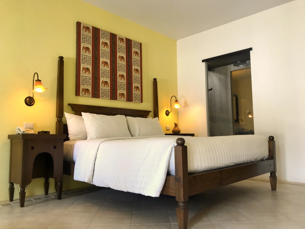 Deluxe Double room (full double bed)