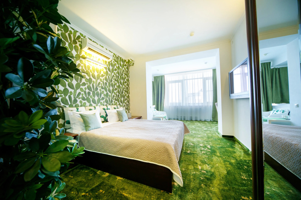 Petrovskij Passazh Hotel Room Type - Standard Double room full double bed