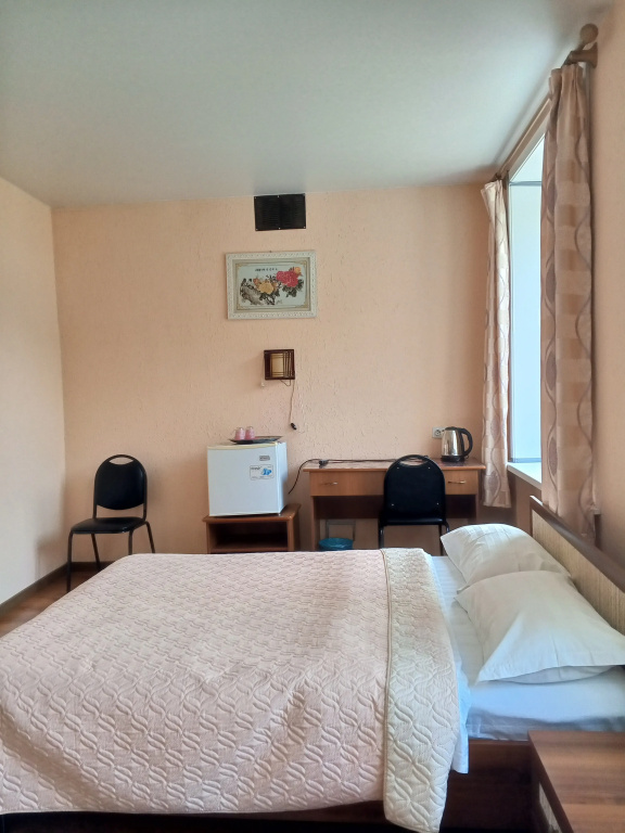 Standard room with mountain view
